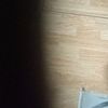 12345678vlad7
