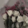 kyaan_23