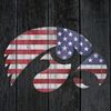 hawk_i_fan