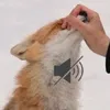 this_is_edit2