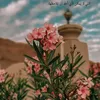 noor23ail6