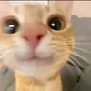 monmamoon1