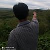 pak_linnur