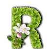 user540610785684