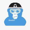 rosl_gtag