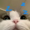 mo.honnday