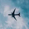 evangelinedawer19