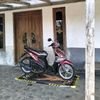 zesss53