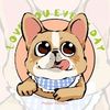 Puppy Recaps
