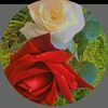 user5223316119239
