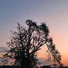 lu._silva01