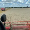 bauer0301