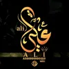 ali.abd.alhamed53