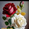 rosemaria954