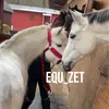 equ_zet