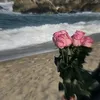 lilix_b27