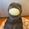 userrrr_dafuq