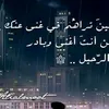 user7095524406561