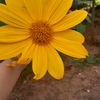 nancyferreira8174
