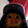 marlon_bustos_0