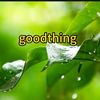 good things recommended