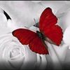 fleur.de.lis85