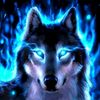 w0lf...126