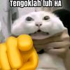 lah_kok_is00
