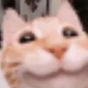 carafeb