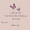 user1337004524919