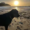elektrathedobie