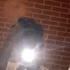 zzzxr01