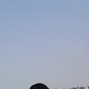 jabsjwl7