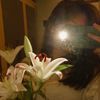 mimf_16