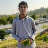 user5923213580071