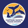 Ocean Safari’s Hout Bay