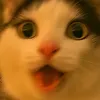 meowwww4105