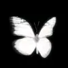 thau_1412