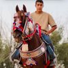 Ali Mostafa