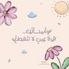 noura.abuhegazy