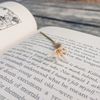 thedarlingdearlibrary