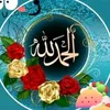 user4434126720940