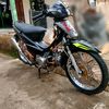 putrapratama60575