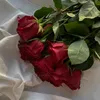 dounia.berada