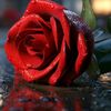 esra_guler.gursoy