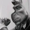 shpikom