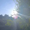 laurinehgi