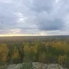 hemaskuukkeli