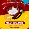 setiono.raden