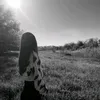 mynameissofia58